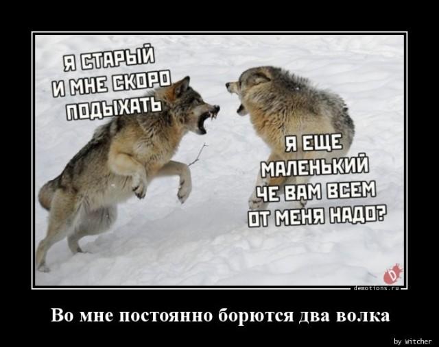 Демотиваторы вторника (15 фото)
