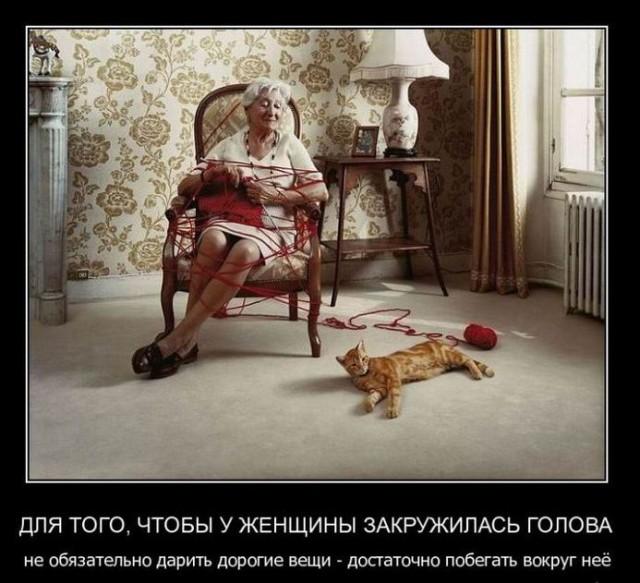 Демотиваторы вторника (15 фото)