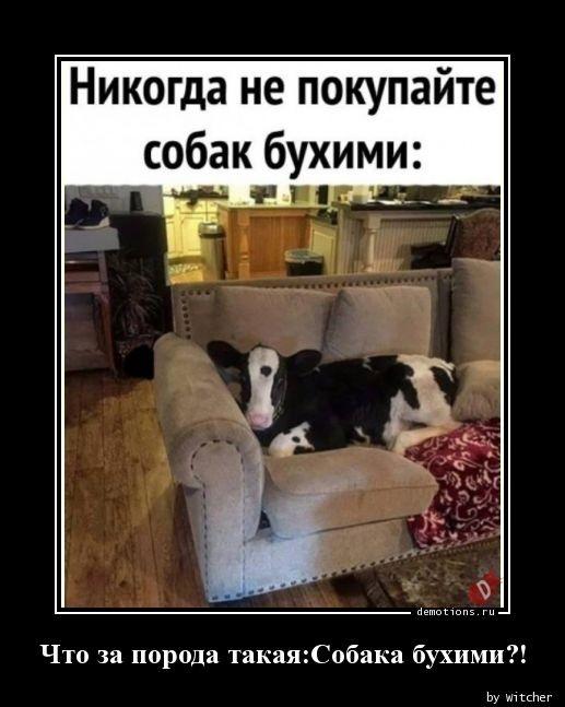 Демотиваторы пятницы (18 фото)
