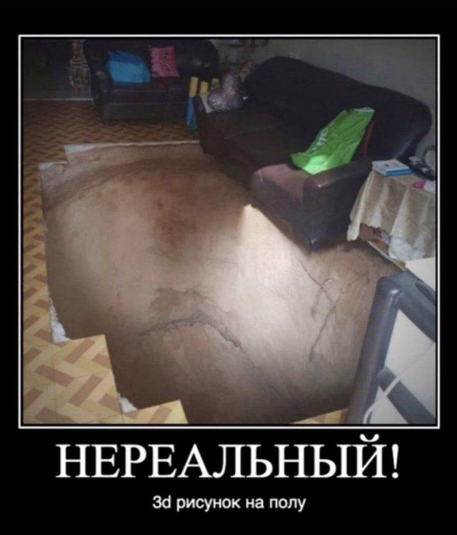 ������������ ������������ (20 ����)