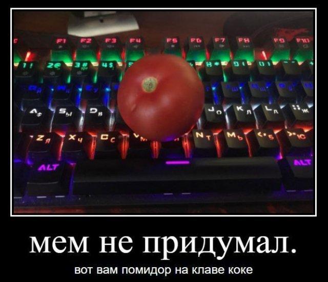 ������������ ������������ (20 ����)