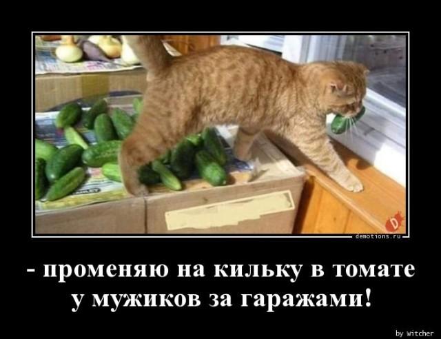 ������������ ������������ (20 ����)