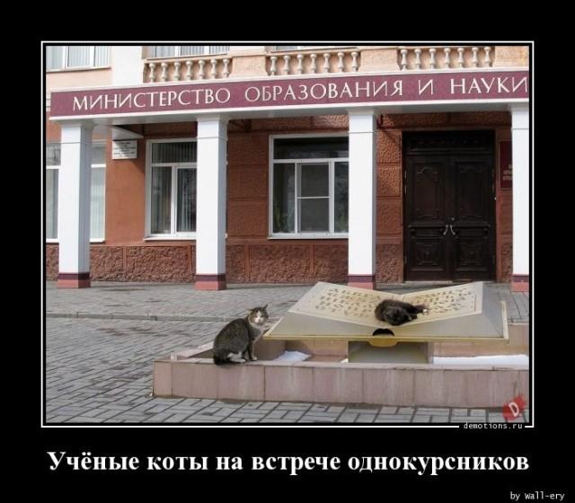 ������������ ������������ (20 ����)