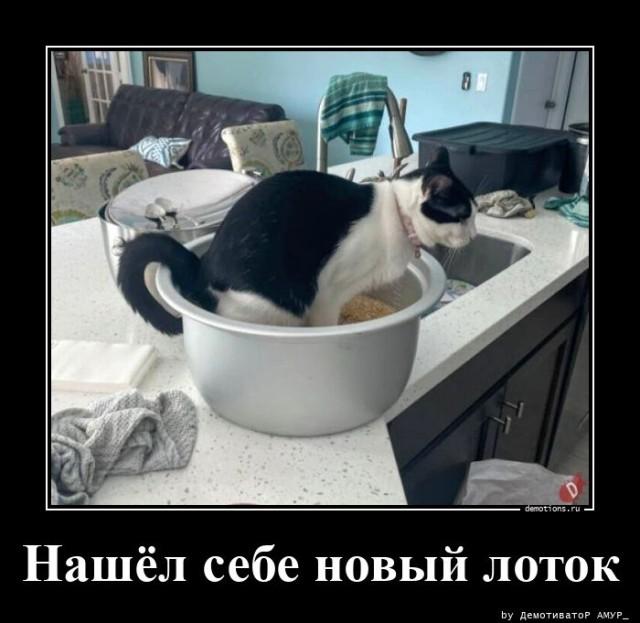 ������������ ������������ (20 ����)