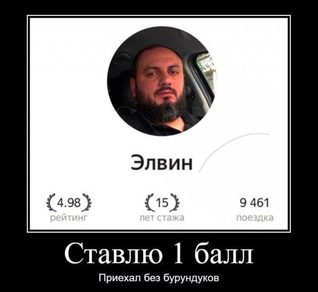 ������������ ������������ (20 ����)