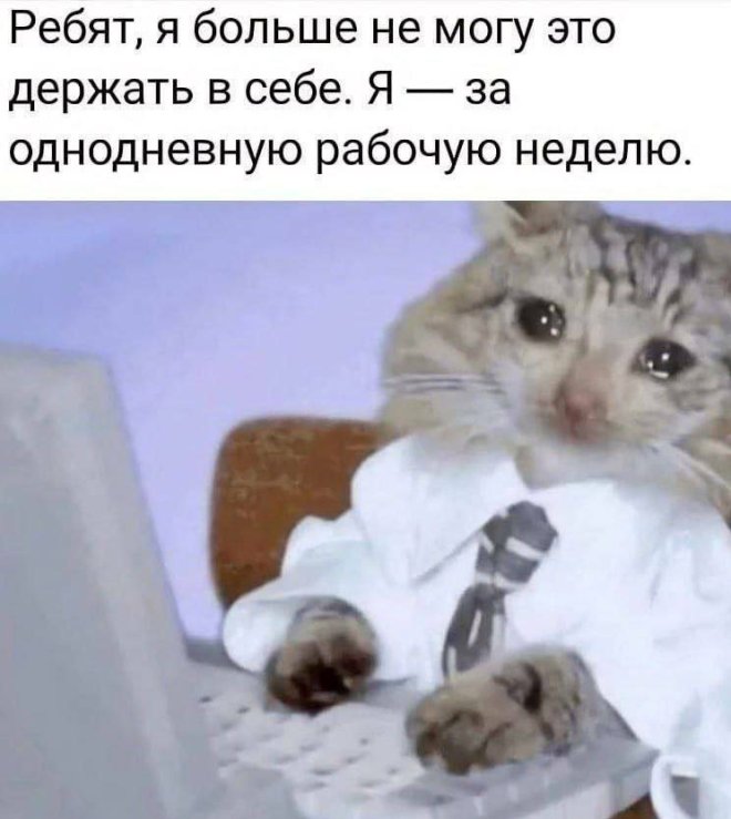 ������� ������ ����� � �������� (35 ����)