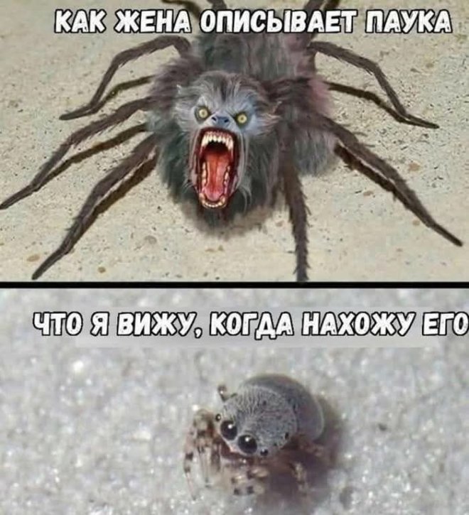 ������� ������ ����� � �������� (35 ����)