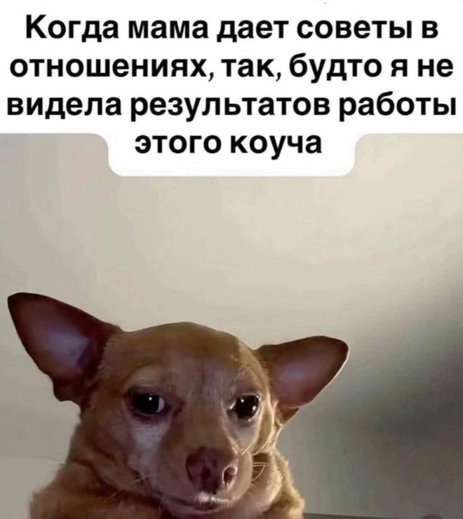 !     (27 )