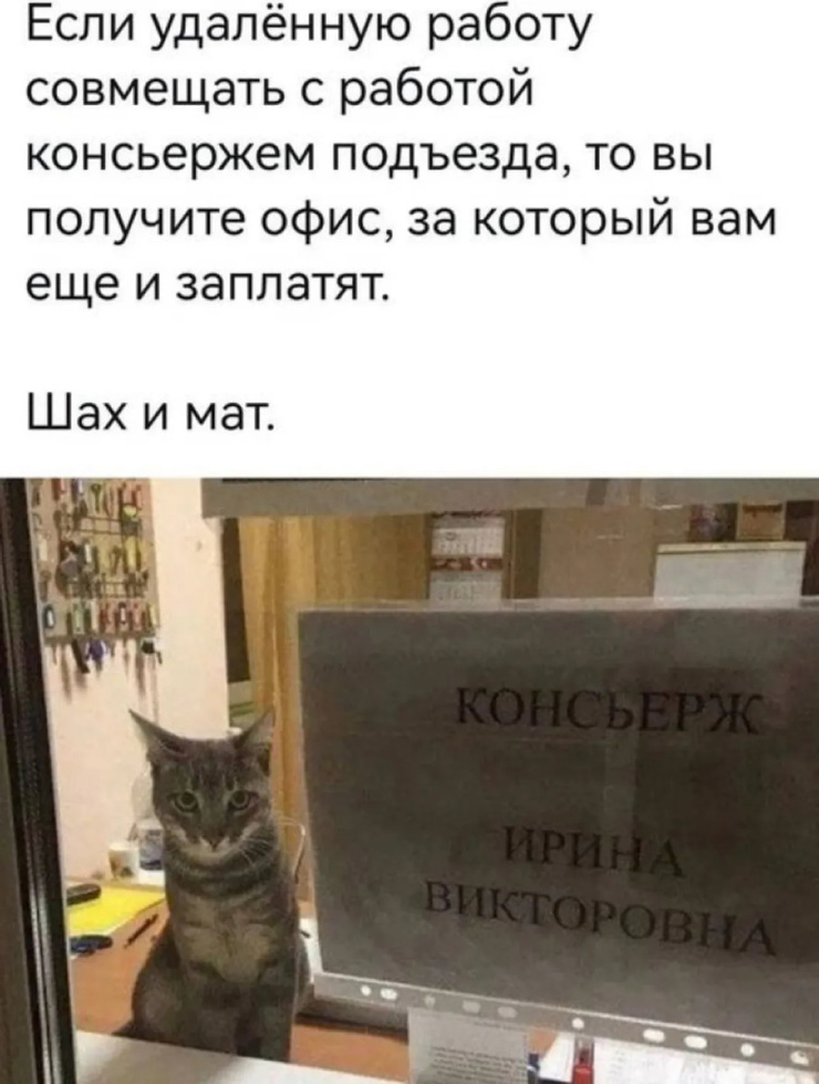 !     (43 )