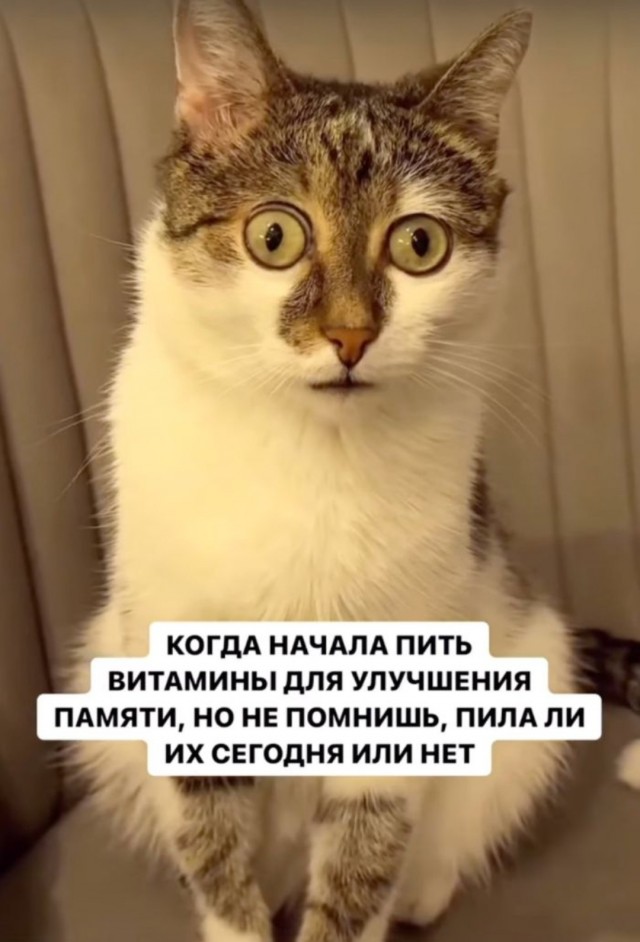 !      (50 )