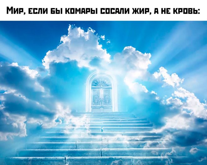      ( )