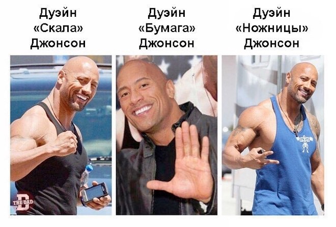       ( )