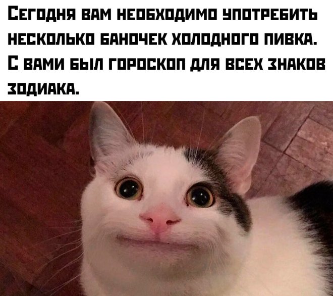       ( )