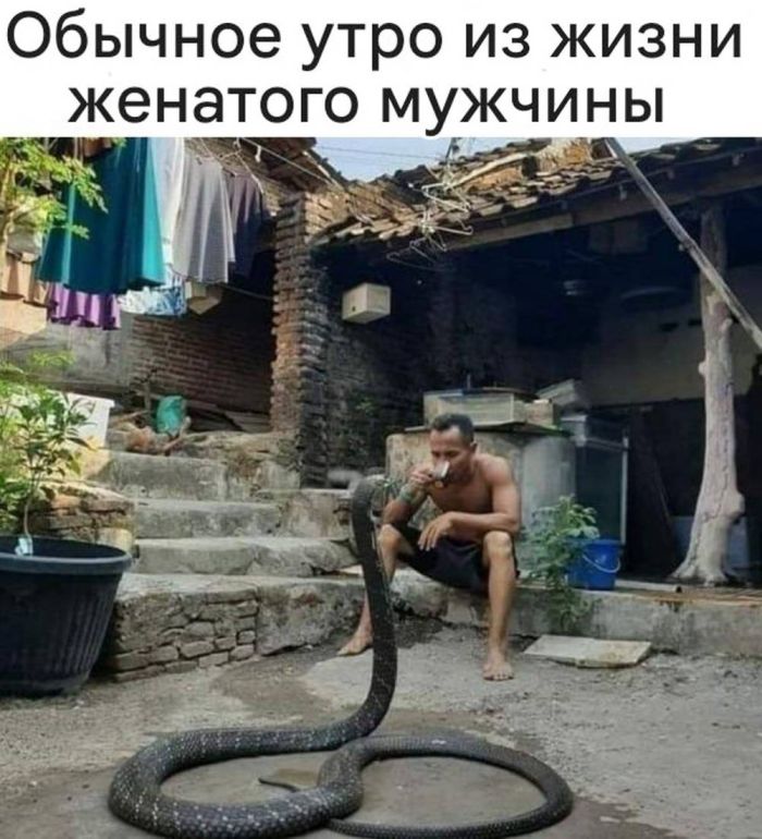      (2 )