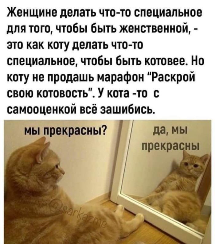      (2 )