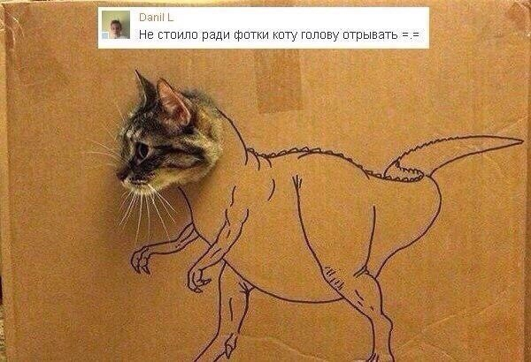      (2 )