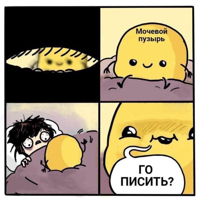      (2 )