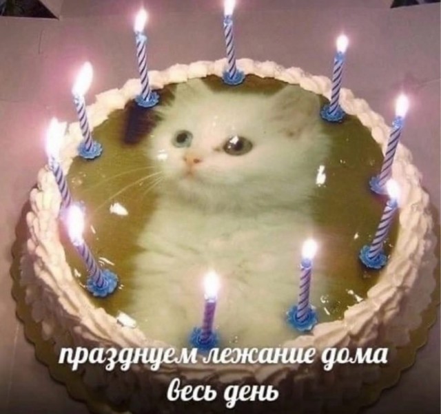 !      (30 )