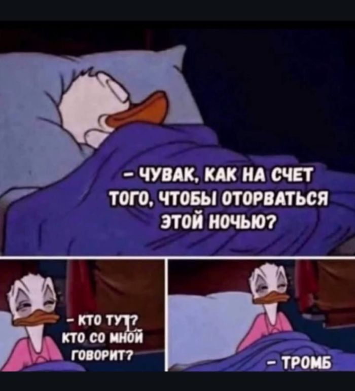 ������� ����� � �������� �� ���� (25 ����)