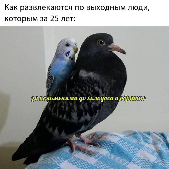 ������� ����� � �������� �� ���� (25 ����)