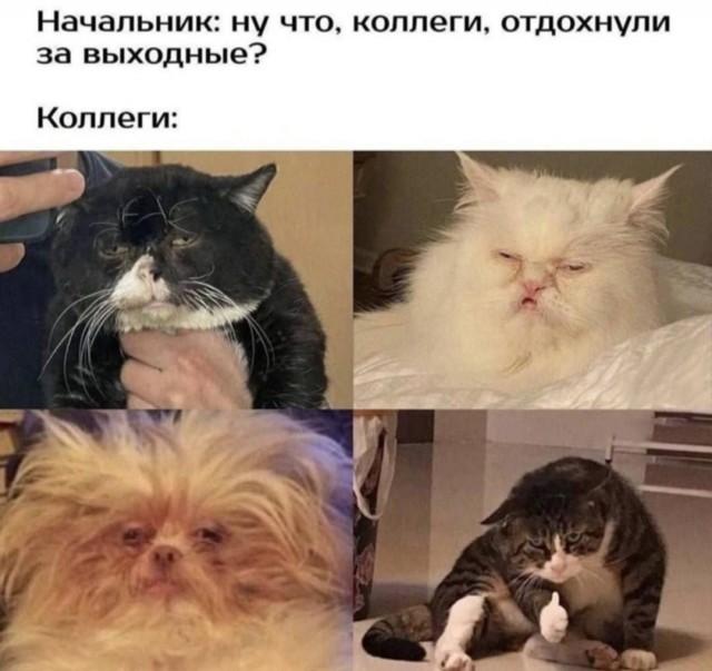 ������� ����� � �������� �� ���� (25 ����)