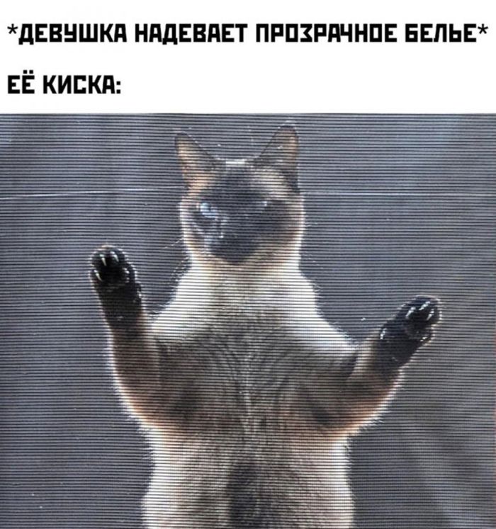 ������� ����� � �������� �� ���� (25 ����)