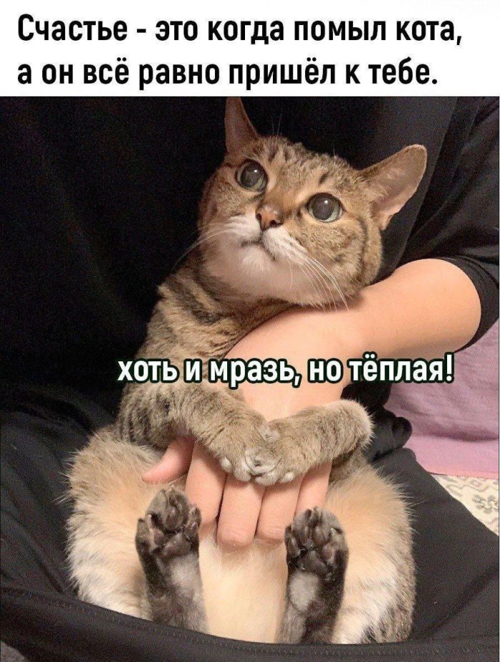 ������� ����� � �������� �� ���� (25 ����)