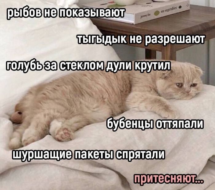 ������� ����� � �������� �� ���� (25 ����)