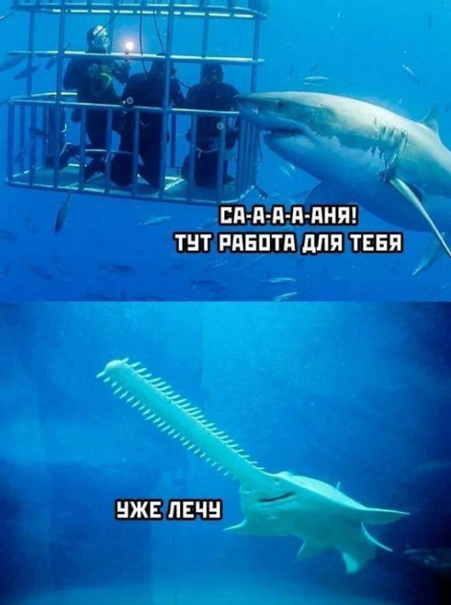 ������� ����� � �������� ��� ���������� (35 ����)