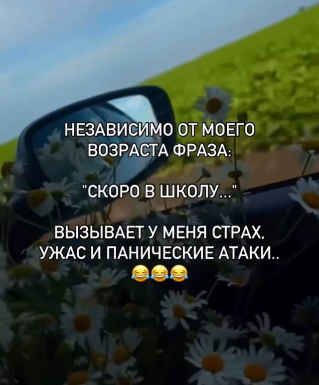 ������� ����� � �������� ��� ���������� (35 ����)