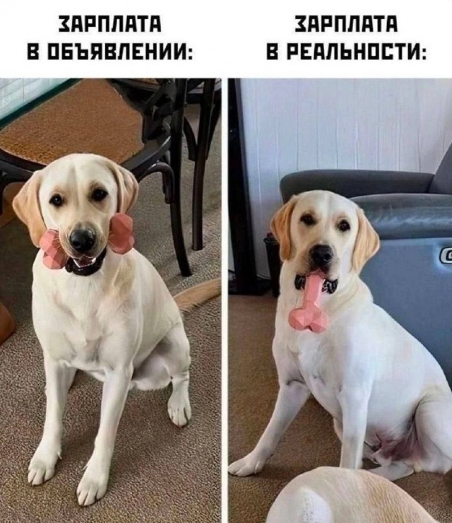 ������� ����� � �������� ��� ���������� (35 ����)