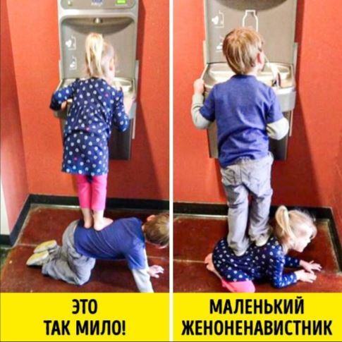 ������� ����� � �������� ��� ���������� (35 ����)