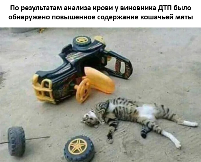 ������� ����� � �������� ��� ���������� (35 ����)