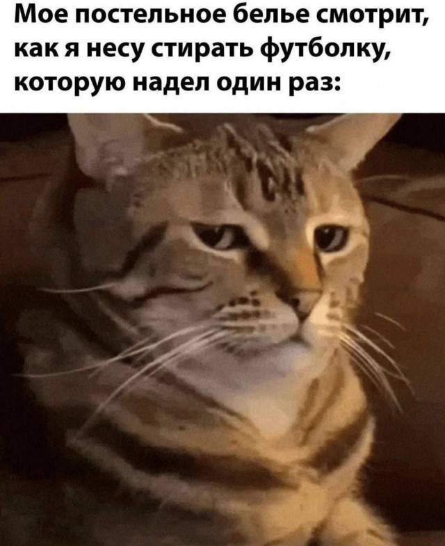 ������� ����� � �������� ��� ���������� (35 ����)