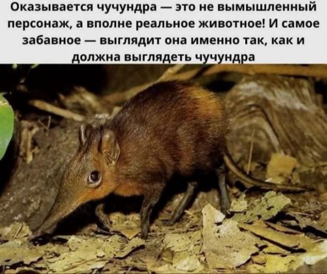 ������� ����� � �������� ��� ���������� (35 ����)