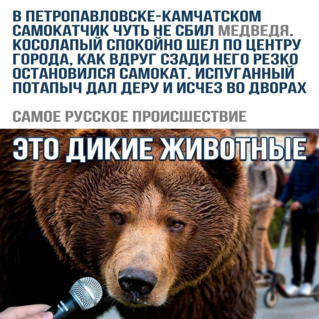 ������� ����� � �������� ��� ���������� (35 ����)