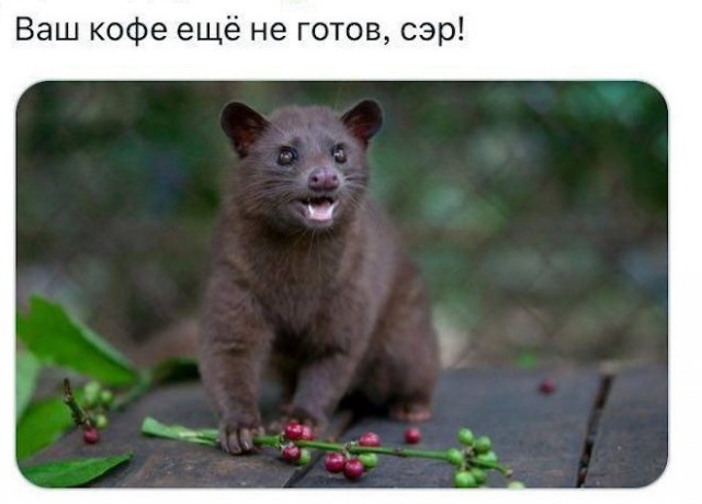 ������� ����� � �������� ��� ���������� (35 ����)