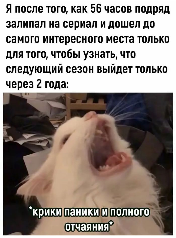!      (28 )