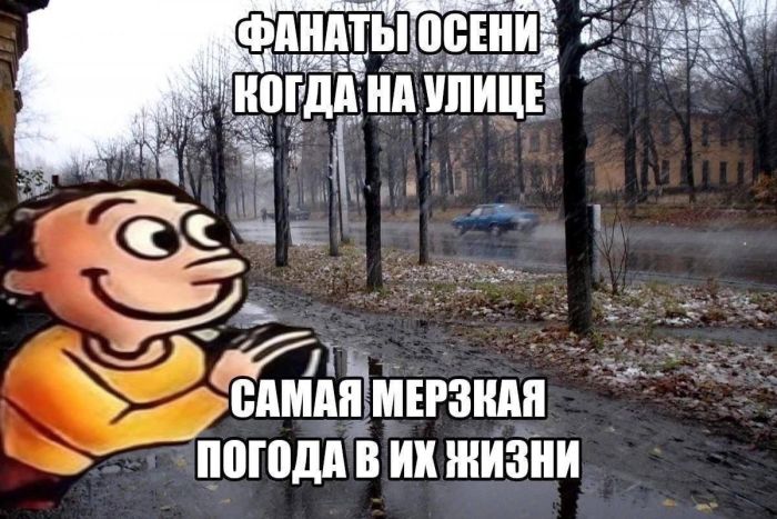 !      (28 )