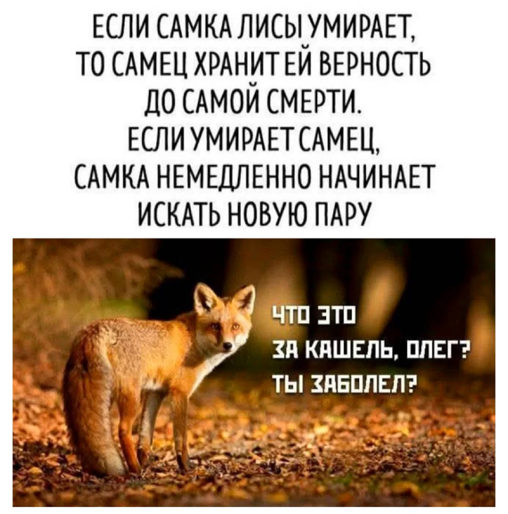 !      (28 )