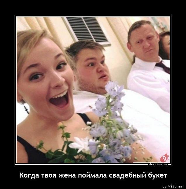 ������������ �������� (20 ����)