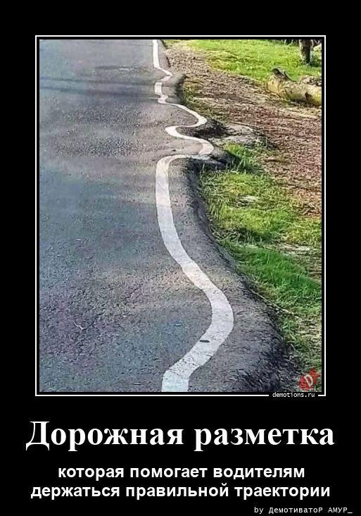 ������������ �������� (20 ����)
