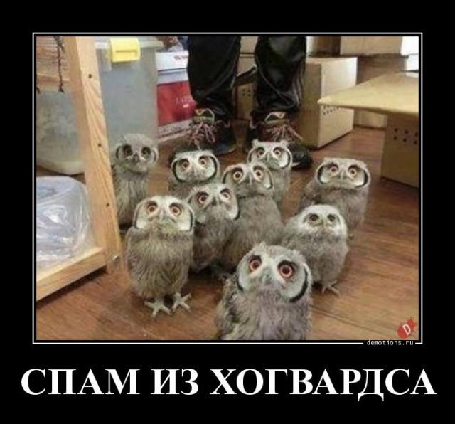 ������������ �������� (20 ����)
