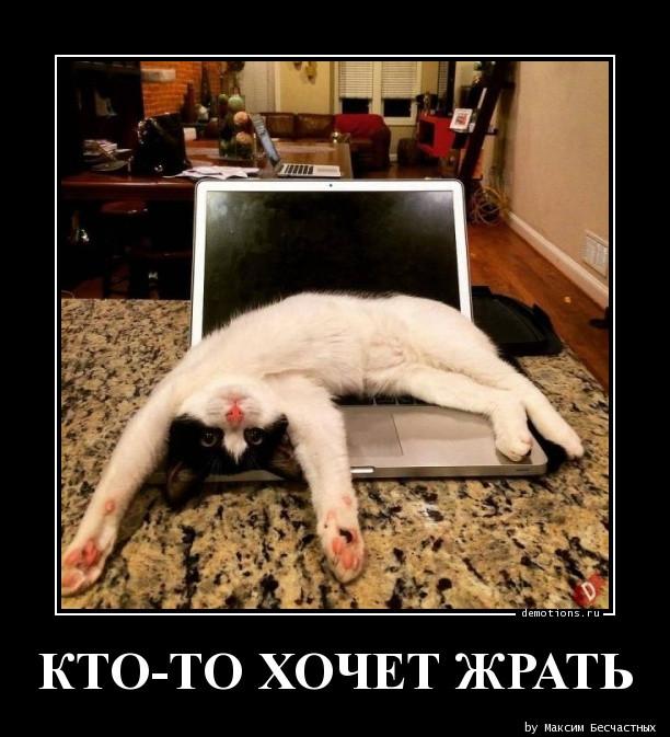 ������������ �������� (20 ����)