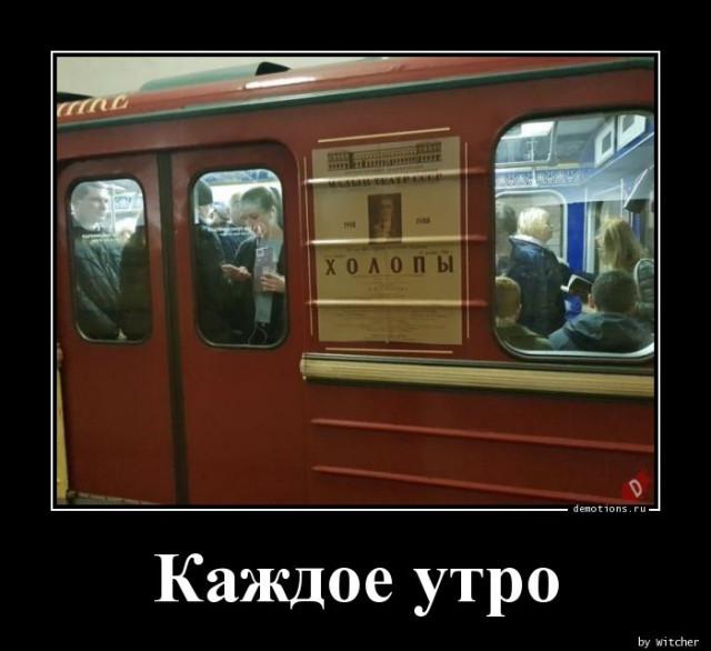 ������������ �������� (20 ����)