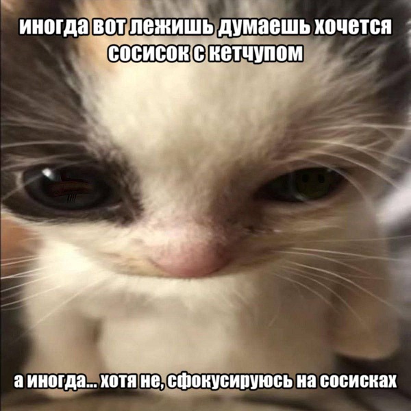 �������� ����� � �������� �� ���� (30 ����)