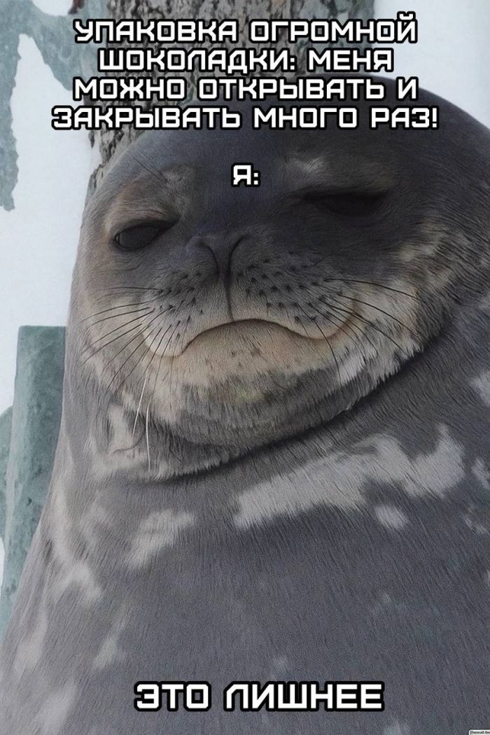�������� ����� � �������� �� ���� (30 ����)