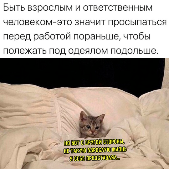 �������� ����� � �������� �� ���� (30 ����)