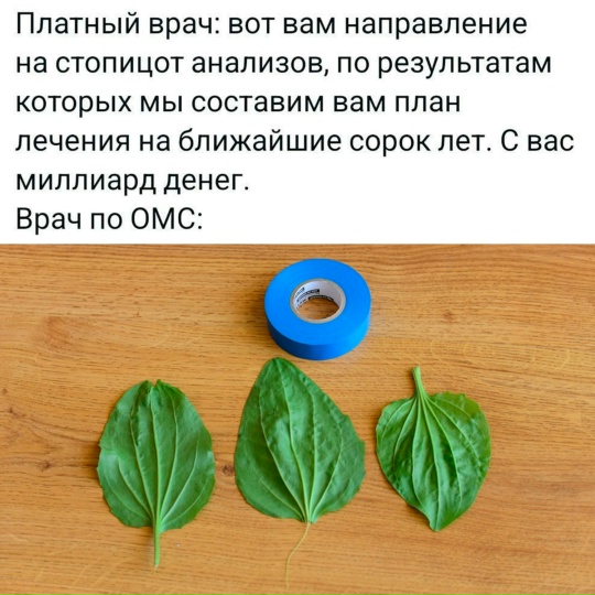 �������� ����� � �������� �� ���� (30 ����)
