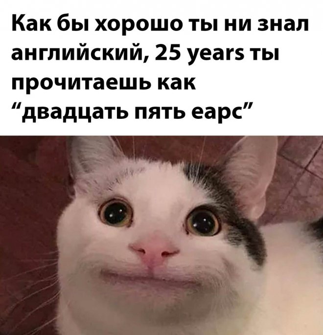 !       (40 )